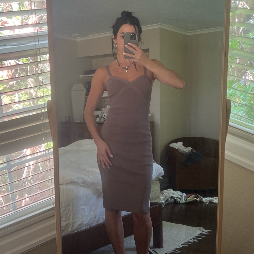 Babaton light brown dress
